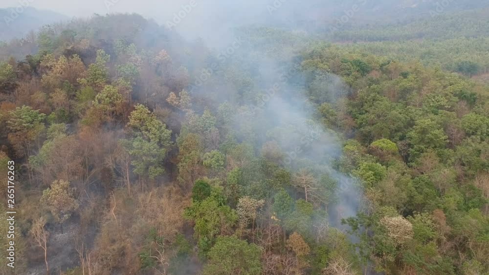 aerial view wildfire on the mountain with smoke in Thailand aerial view wildfire on the mountain with smoke in Thailand