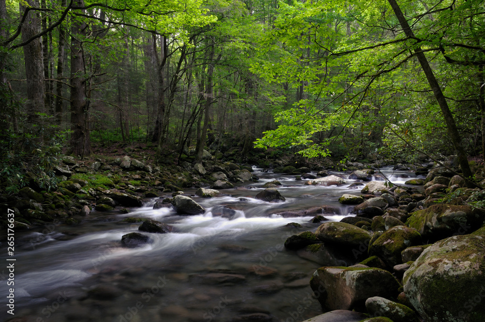 Little Pigeon River in Greenbrier, Smoky Mountains, TN, USA Little Pigeon River in Greenbrier, Smoky Mountains, TN, USA