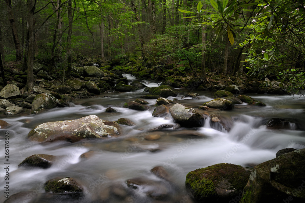 Little Pigeon River in Greenbrier, Smoky Mountains, TN, USA Little Pigeon River in Greenbrier, Smoky Mountains, TN, USA