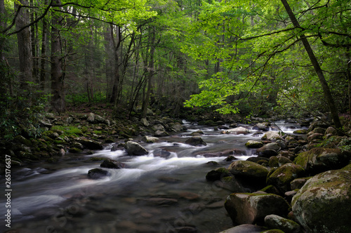 Little Pigeon River in Greenbrier, Smoky Mountains, TN, USA