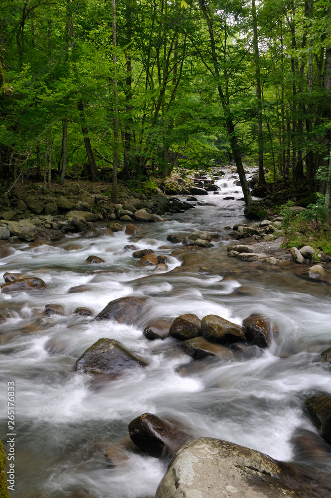 Little Pigeon River in Greenbrier, Smoky Mountains, TN, USA Little Pigeon River in Greenbrier, Smoky Mountains, TN, USA