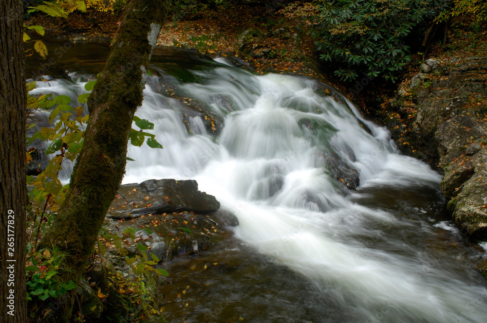 Cascades in Little Pigeon River at Great Smoky Mountains