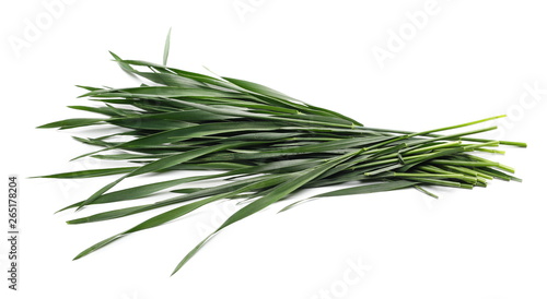Green mowed young wheat isolated on white background, with clipping path