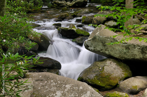 Little Pigeon River in Roaring Fork of Smoky Mountains  TN  USA