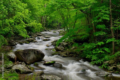 Little Pigeon River in Tremont of Great Smoky Mountains