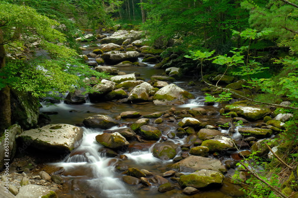 Tremont at Great Smoky Mountains National Park, TN USA Tremont at Great Smoky Mountains National Park, TN USA