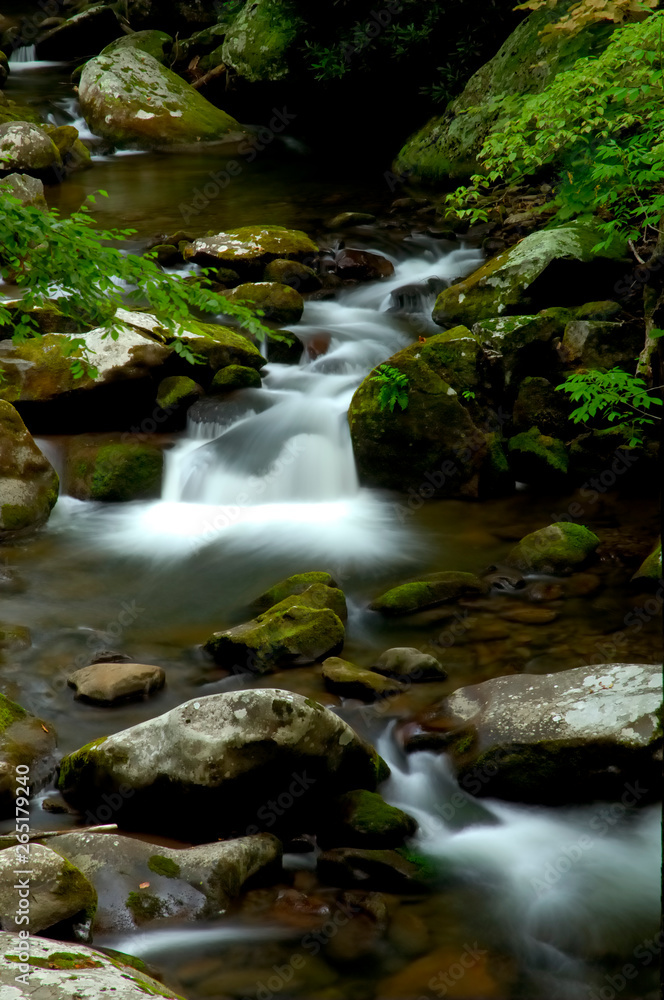 Tremont at Great Smoky Mountains National Park, TN USA Tremont at Great Smoky Mountains National Park, TN USA