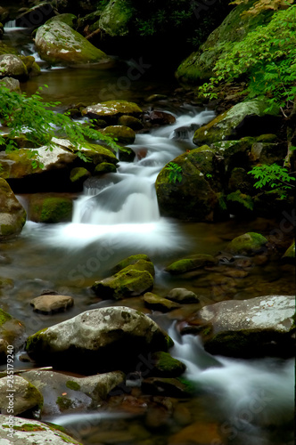 Tremont at Great Smoky Mountains National Park, TN USA