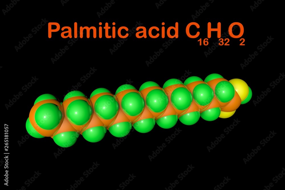 Structural chemical formula and molecular model of palmitic acid (palm