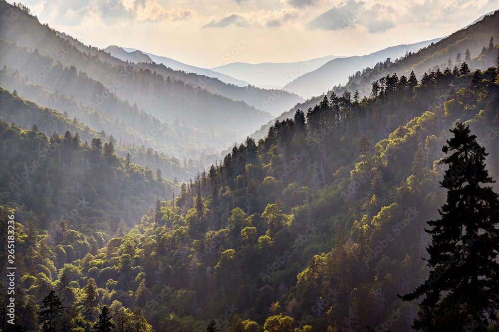 God Beams in Great Smoky Mountains at Morton's Overlook