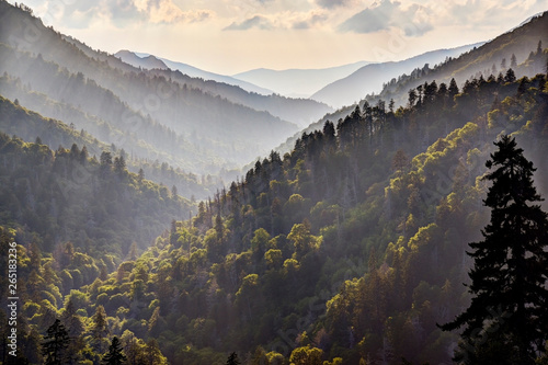 Valokuvatapetti God Beams in Great Smoky Mountains at Morton's Overlook