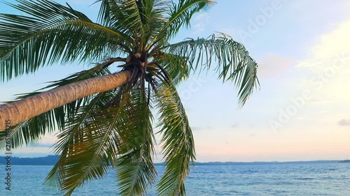 Slow motion: sunset tropical beach coconut palm tree frond turquoise water at Pulau Tailana, Banyak Islands, Sumatra, Indonesia photo