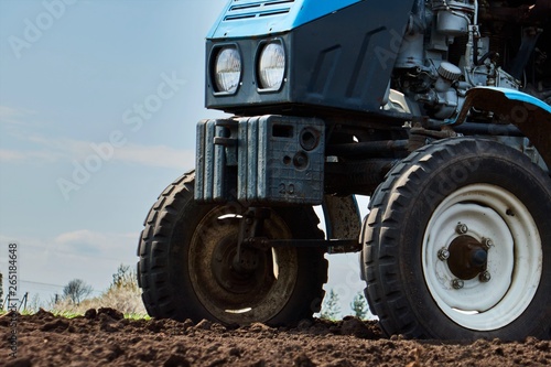 A tractor on the field plant potatoes and cultivates the ground   Planting potatoes with a small tractor