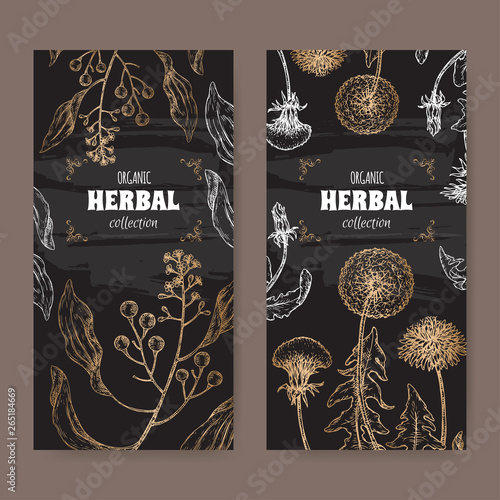 Set of two labels with camphorwood or camphor laurel and Dandelion sketch on black. Green apothecary series. photo