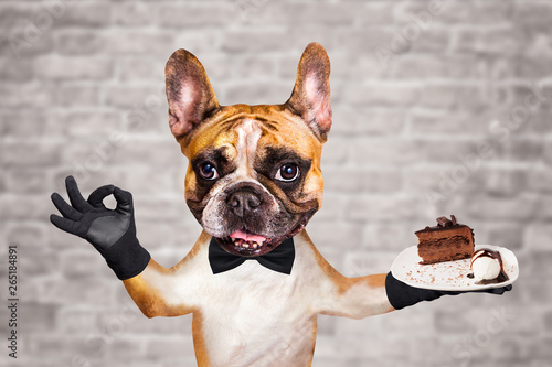 funny dog ginger french bulldog waiter in a black bow tie hold a dessert pie on a plate and show a sign approx. Animal on brick wall background © vika33