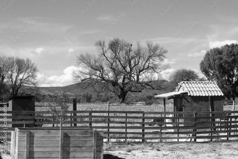 house, fences, trees and hill