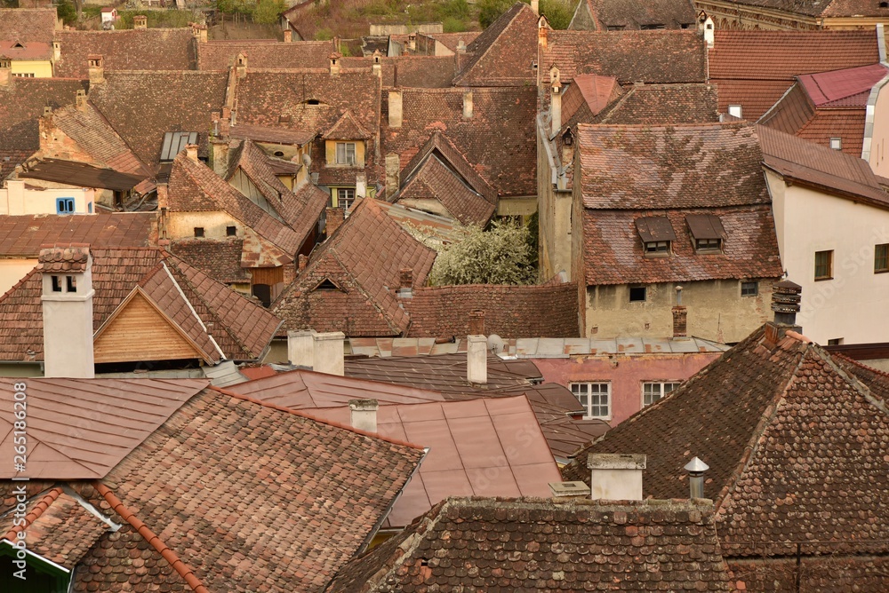 Sighisoara, Transylvania; View of typical roofs..