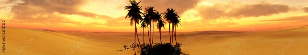 Panorama of desert sand and palm trees at sunset, the sun over the desert in clouds,