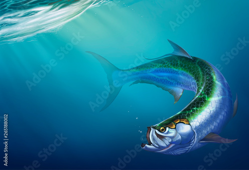 Tarpon big fish on background. The Elopiformes on depth background realistic illustration. photo