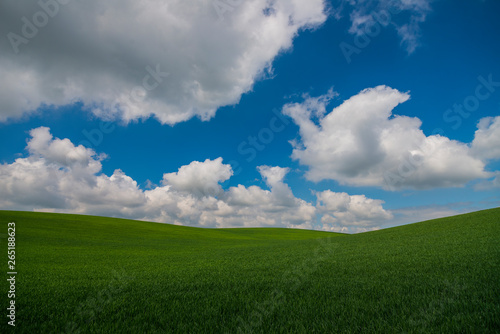 Green meadow under blue sky with clouds