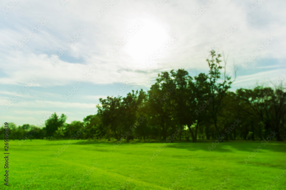 blured photo Green trees and gardens Beautiful light in the morning blured photo Green trees and gardens Beautiful light in the morning