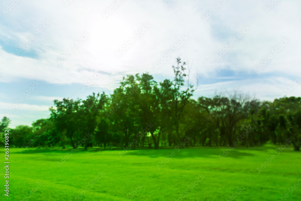 blured photo Green trees and gardens Beautiful light in the morning blured photo Green trees and gardens Beautiful light in the morning