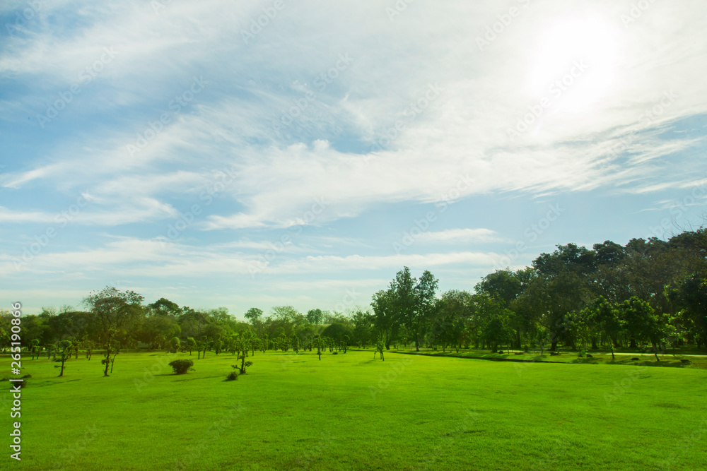 Blurred trees and green gardens wide lawn beautiful light in the morning