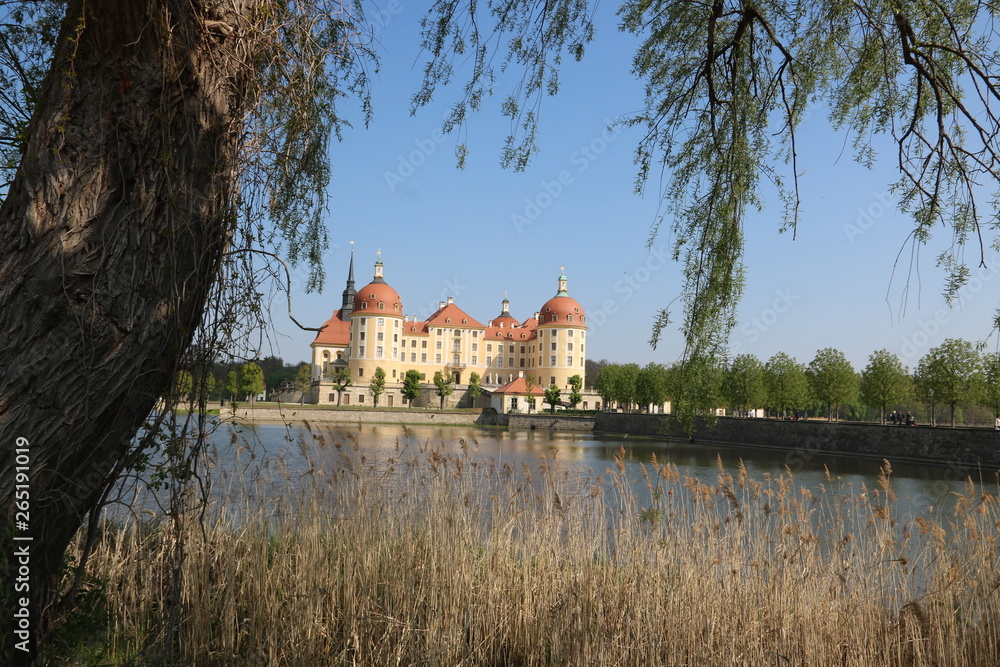 Schloss Moritzburg im Frühling