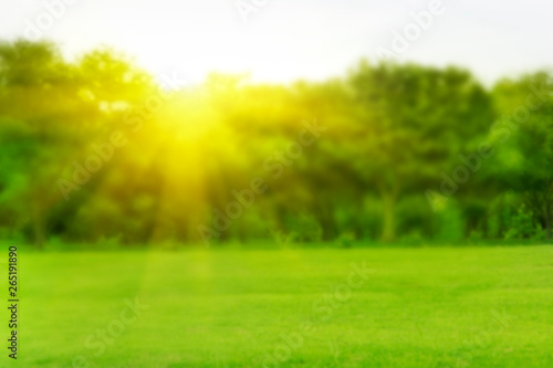 blured photo Green trees and gardens Beautiful light in the morning