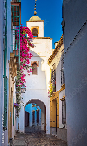 Old town of Cordoba with flowers