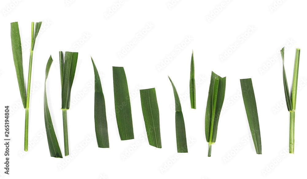 Set green cut grass isolated on white background and texture, top view