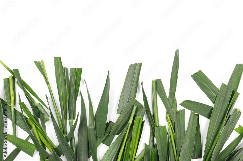 Obraz premium Green cut wild grass isolated on white background and texture, top view