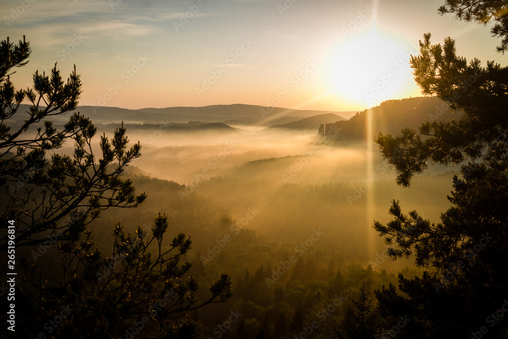 Obraz premium Elbsandsteingebirge - Sonnenaufgang