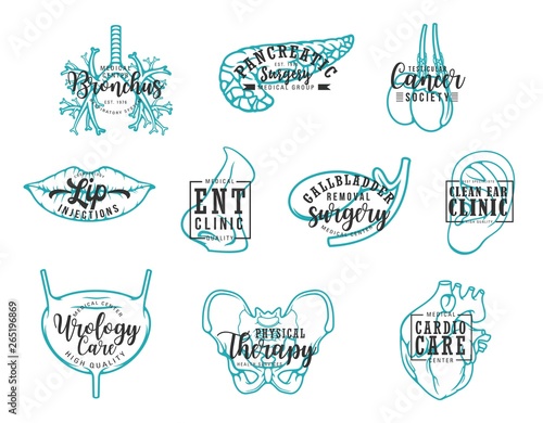 Human body organs, medical clinic lettering