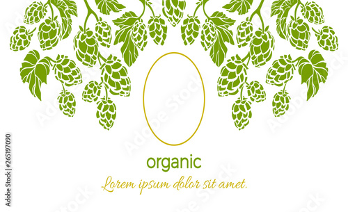 Vector frame of hop. Green pattern of branch, leaves, cone