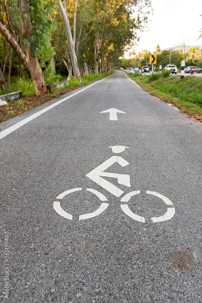 Obraz premium Bicycle road sign and arrow bike lane symbol,bike lane in the garden sightseeing and ride bike in the park. White painted bike on asphalt. Ride ecological green urban transport.