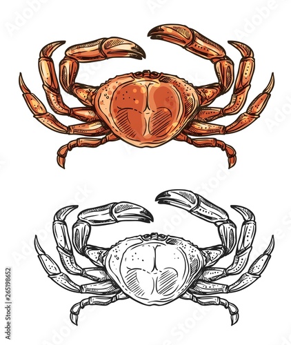 Crab sketch, seafood menu and sea fishing