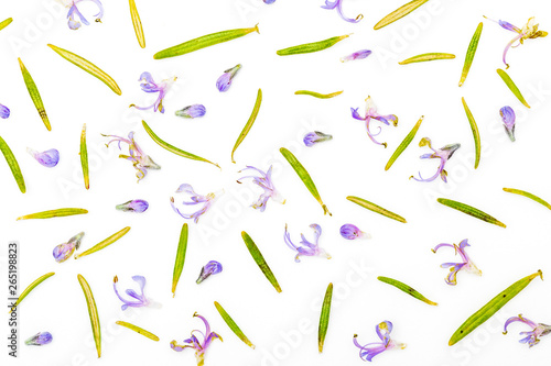 Texture of fresh rosemary and green leaves with delicate purple flowers. Isolated on white background.