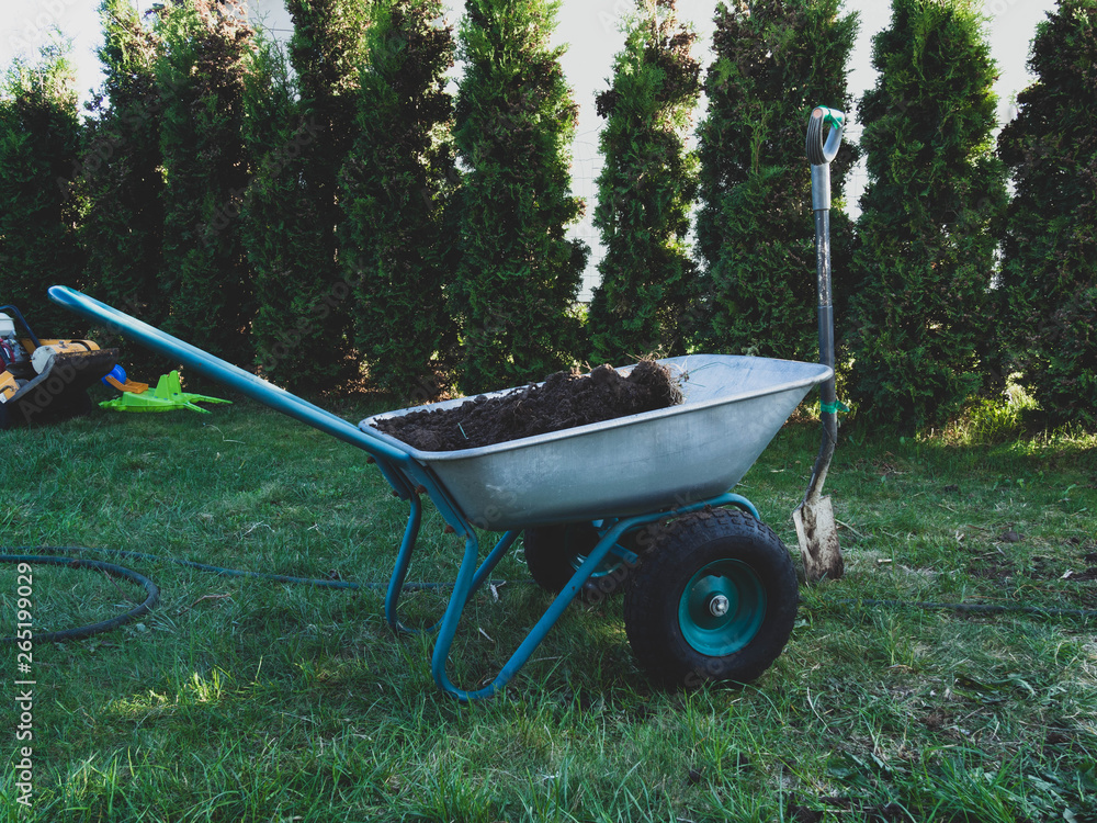 garden cart for planting palnt in the garden with shovel, green tree garden cart for planting palnt in the garden with shovel, green tree