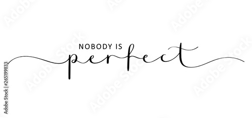 NOBODY IS PERFECT brush calligraphy banner