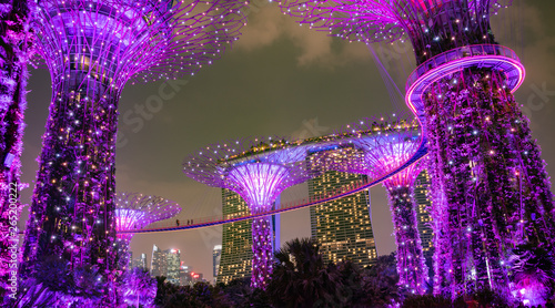 Impressive Supertrees at the Gardens by the Bay, Singapore photo
