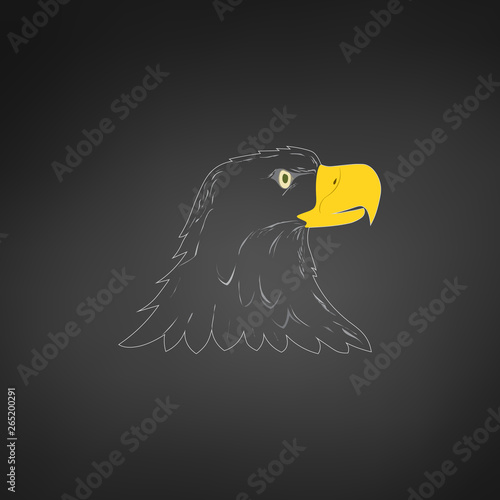American Bald Eagle or Hawk...