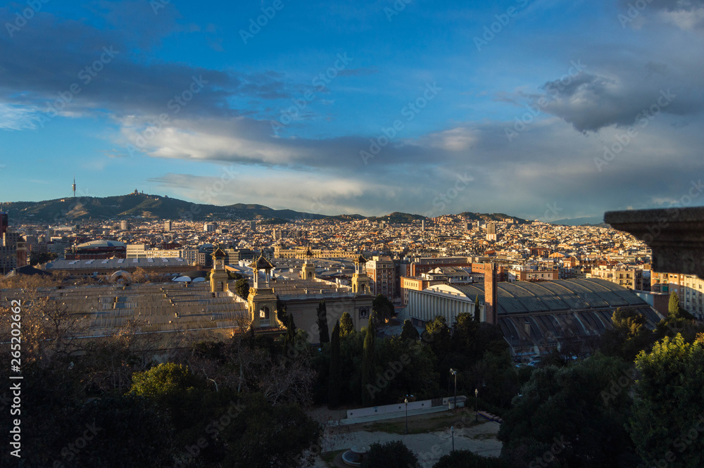 Barcelona from the National palace.