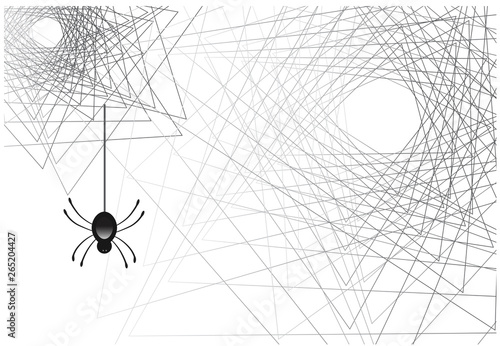 Spider web vector