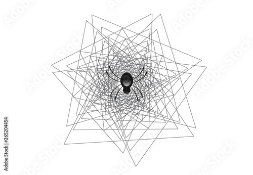 Spider web