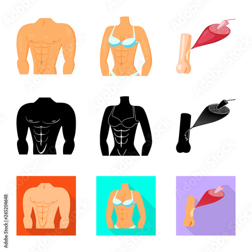 Vector illustration of fiber and muscular sign. Set of fiber and body  stock symbol for web.