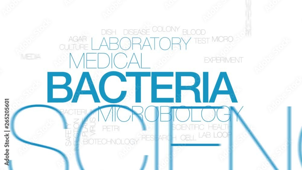 Bacteria animated word cloud. Kinetic typography. Bacteria animated word cloud. Kinetic typography.