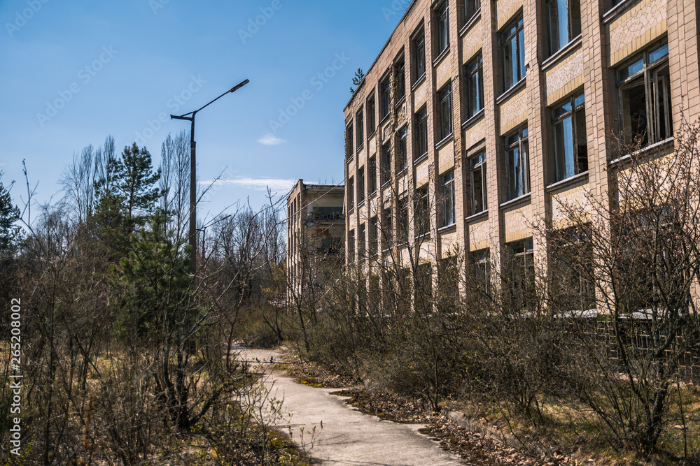 Street of the abandoned ghost town Pripyat. Overgrown trees and collapsing houses in the exclusion zone of the Chernobyl nuclear disaster Street of the abandoned ghost town Pripyat. Overgrown trees and collapsing houses in the exclusion zone of the Chernobyl nuclear disaster