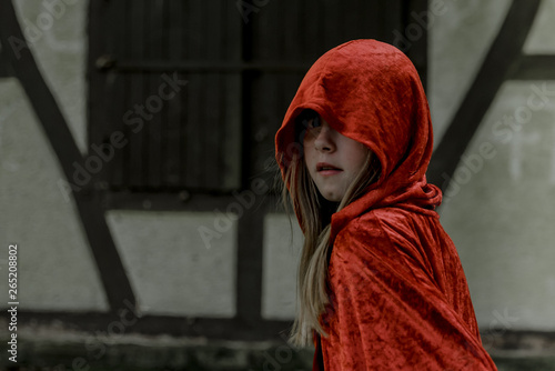 Little Red Riding Hood and wolf in front of forest fairy tale illustration