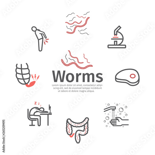 Tapeworms banner. Symptoms. Line icons set. Vector signs for web graphics.